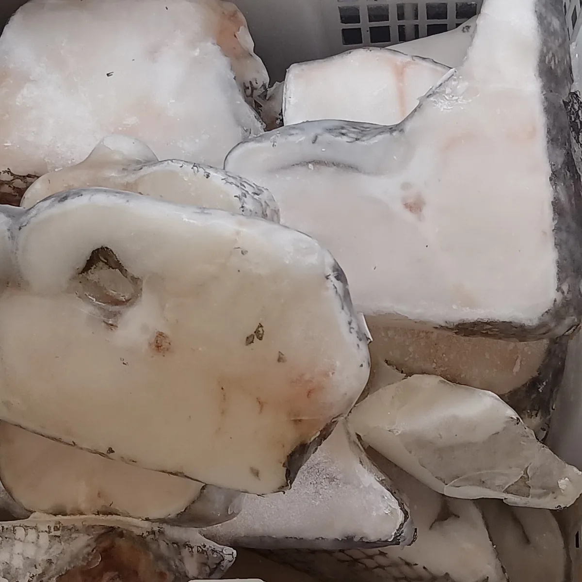 北大西洋産の天然底魚の冷凍ポーション