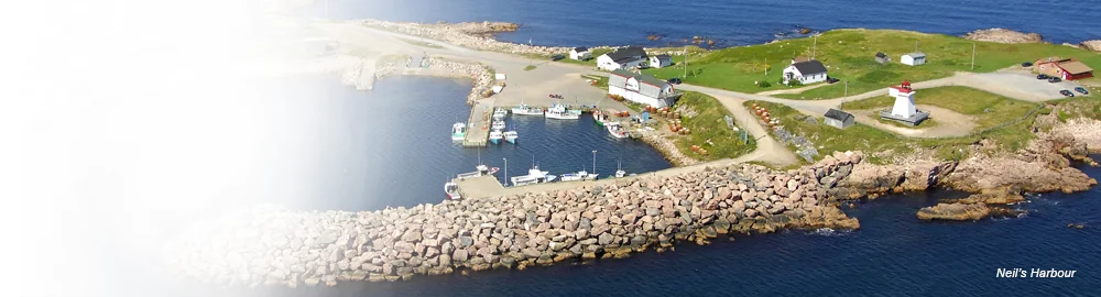 Aerial view of Neil's Harbour, Cape Breton, with its breakwater and lighthouse