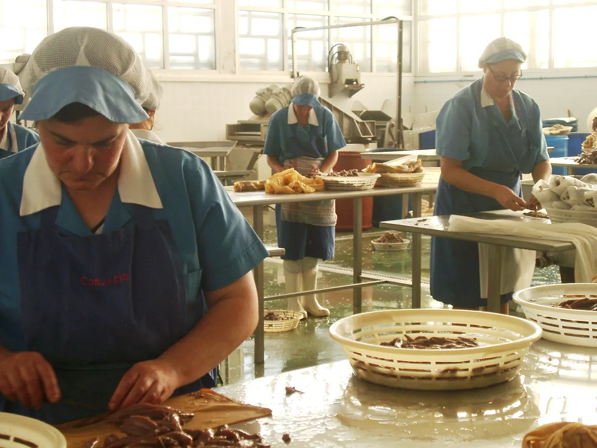 Workers handling seafood inside the processing plant